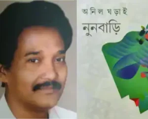 অনিল ঘড়াইয়ের 'নুনবাড়ি'